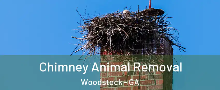 Chimney Animal Removal Woodstock - GA
