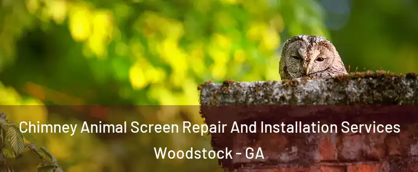  Chimney Animal Screen Repair And Installation Services Woodstock - GA