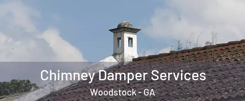  Chimney Damper Services Woodstock - GA