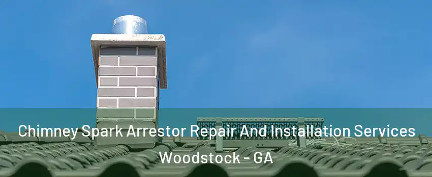  Chimney Spark Arrestor Repair And Installation Services Woodstock - GA