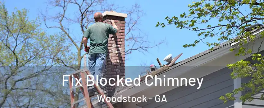  Fix Blocked Chimney Woodstock - GA