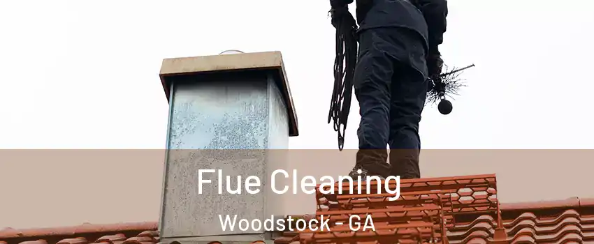  Flue Cleaning Woodstock - GA