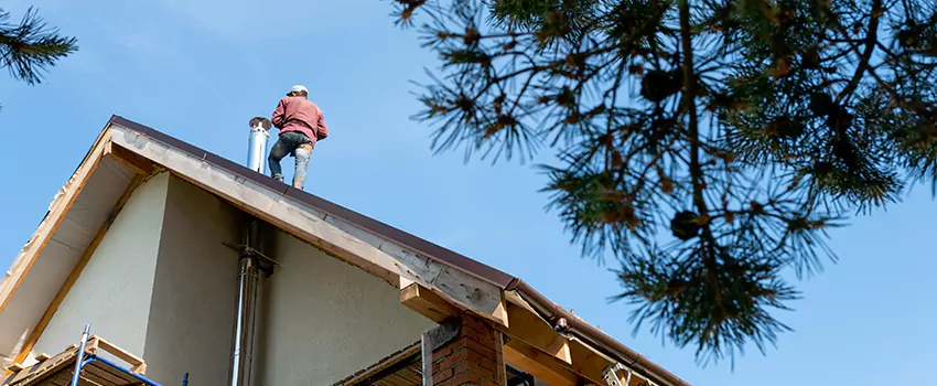 Birds Removal Contractors from Chimney in Woodstock, GA