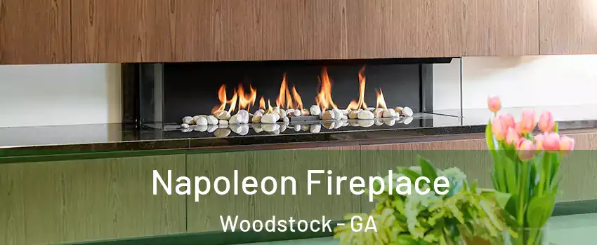 Napoleon Fireplace Woodstock - GA